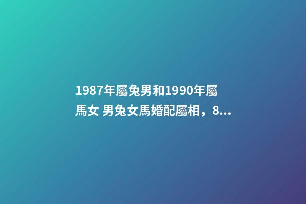 1987年屬兔男和1990年屬馬女 男兔女馬婚配屬相，87年的男兔和90年的女馬可以婚配嗎-第1張-觀點-玄機派